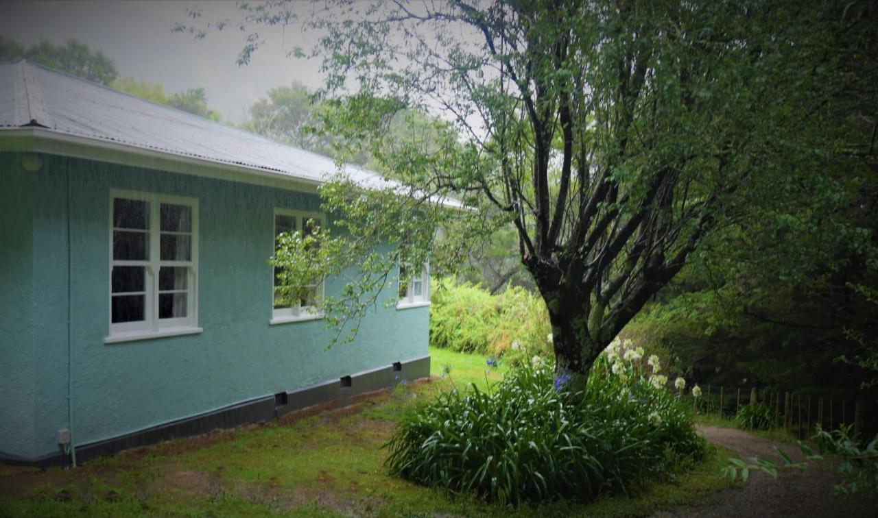 Tinui Food Forest Cottage Whareama ภายนอก รูปภาพ